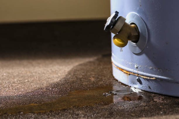 , NV Water damage restoration Company