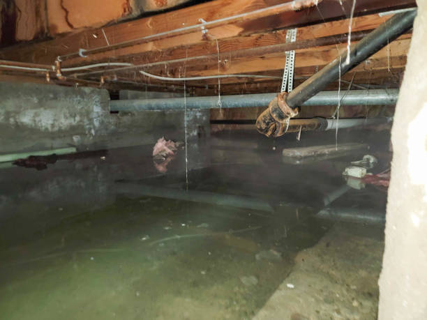 Local water damage restoration in NV