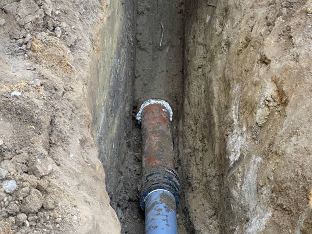 Best Basement water damage restoration  in Mogul, NV