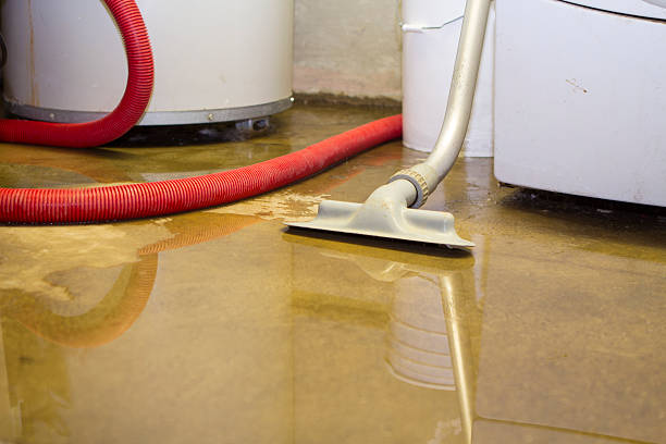 Best Flood damage cleanup  in Mogul, NV