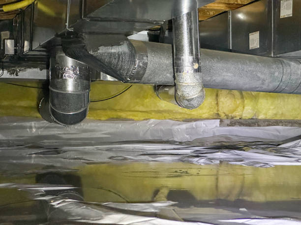 Best Carpet water damage restoration  in Mogul, NV
