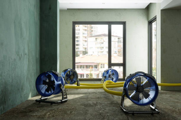 Best Water damage restoration cost  in Mogul, NV