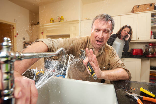 Best Water damage restoration near me  in Mogul, NV